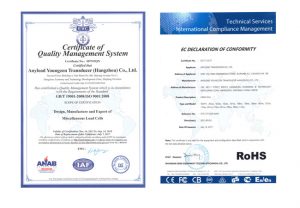Anyload ISO and RoHS Renewal 2017