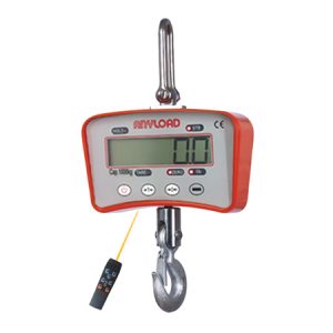 ANYLOAD | OCSM2 Crane Scale