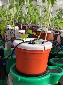 ANYLOAD | Load Cells Help Optimizing Water Efficiency In Stressed Climates